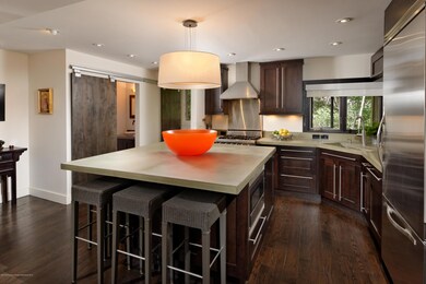 100 N 8th St unit 4, Aspen, CO 81611 - photo 2