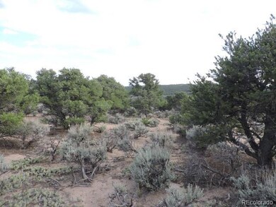 3788 Regan Place, Fort Garland, CO 81133 - photo 4