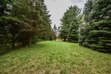 8905 Dexter-Chelsea Rd, Dexter, MI 48130 - photo 4