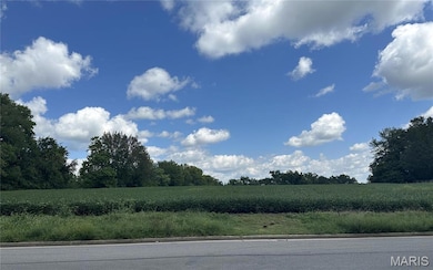 0 S 3rd St unit MAR23052580, Troy, MO 63379 - photo 6