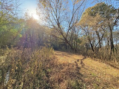 2170 Harris Rd, Lewisburg, TN 37091 - photo 7