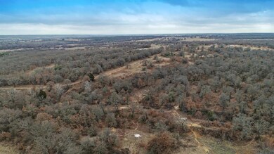 TBD Erwin @ Zion Hill Rd, Poolville, TX 76487 - photo 6