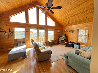 Large great room