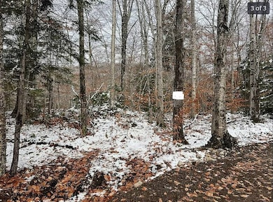 1 Palisades, Webb, NY 13420 - photo 7