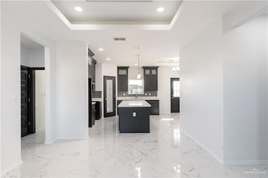 830 Hawk St, Alamo, TX 78516 - photo 5