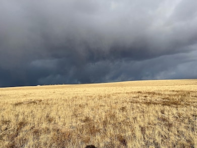 24550 E State Highway 110, Calhan, CO 80808 - photo 6