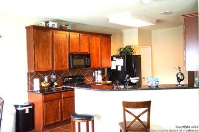 11123 Kobort Canyon, Helotes, TX 78023 - photo 5