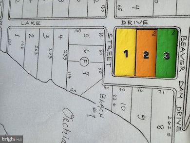 G3 Orchid Lake Dr, Gum Spring, VA 23065 - photo 3