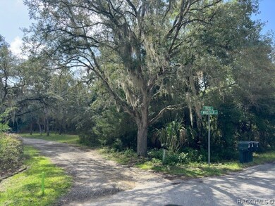 1050 E Whistler Ct, Hernando, FL 34442 - photo 2