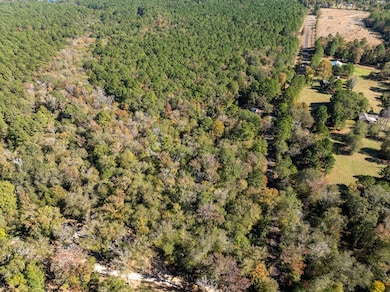 TBD An County Road 1225, Elkhart, TX 75839 - photo 5