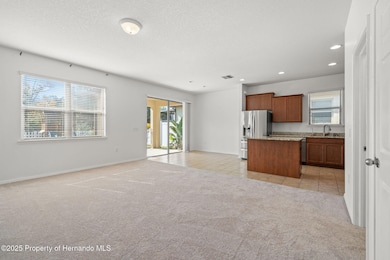 15673 Stone House Dr, Brooksville, FL 34604 - photo 5