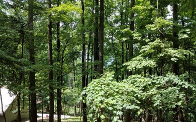 Additional View