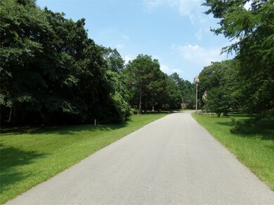 20719 New Kentucky Village, Hockley, TX 77447 - photo 6