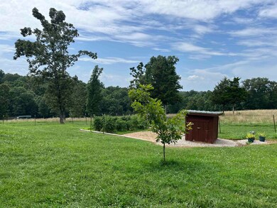 385 Walnut Grove Cir, Mammoth Spring, AR 72554 - photo 5