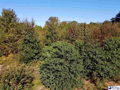 Lot 13 Shorebird Ln, Florence, SC 29501 - photo 3