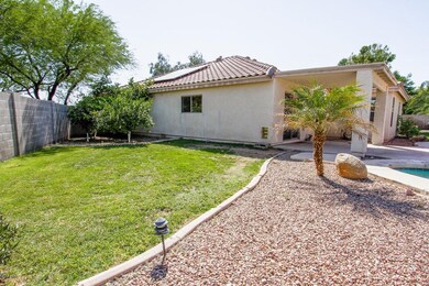 back yard 1