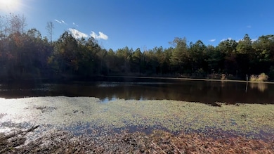 3294 Brady Rd, Letohatchee, AL 36047 - photo 5