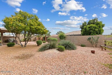 Backyard 2