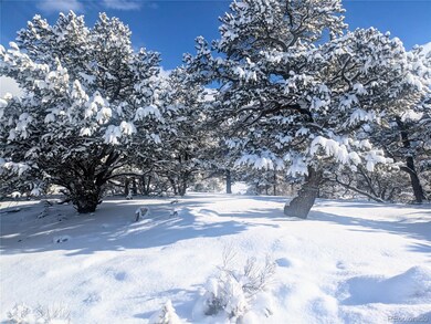 1946-1949C, 2017-202 Lone Pine Way, Crestone, CO 81131 - photo 4