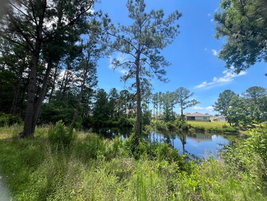 Peaceful view every day