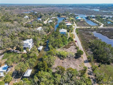 12193 W Bald Eagle Ct, Crystal River, FL 34429 - photo 3