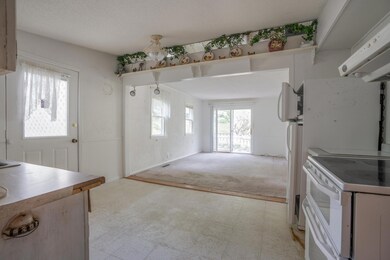Kitchen Open to Living Room.jpg
