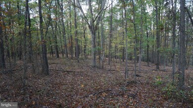 0 Jordan Hollow Ln unit 1000167925, Berkeley Springs, WV 25411 - photo 6