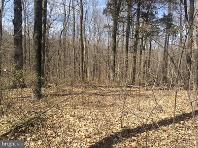 0 Mount Gilead Rd unit 1000326486, Leesburg, VA 20175 - photo 3