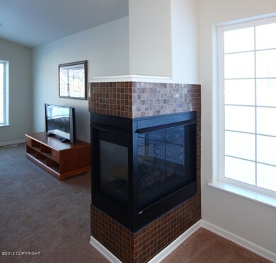 Gas fireplace - optional