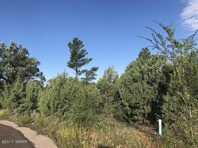 007_Beautiful Mix of Trees
