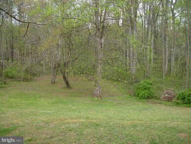 8262 Peach Ln, Rixeyville, VA 22737 - photo 3