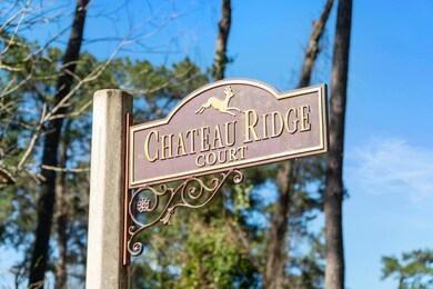 19326 Chateau Ridge Ct, Tomball, TX 77377 - photo 2