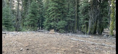 2526 Rainer Rd, Alturas, CA 96101 - photo 6