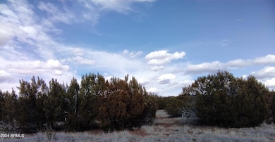 Bourdon Ranch