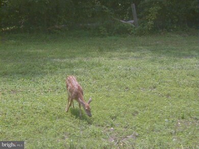 440 Swedesboro Rd, Franklinville, NJ 08322 - photo 5