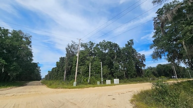 0 Brett Ave unit 25703619, Interlachen, FL 32148 - photo 5