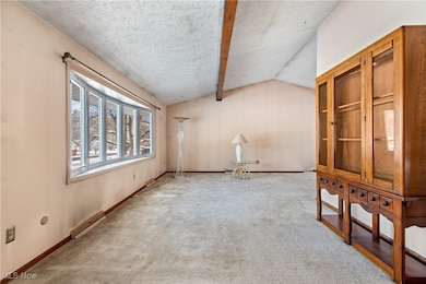 3136 Bird Dr, Ravenna, OH 44266 - photo 5