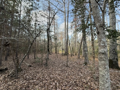 35895 Nc Hwy 561, Hollister, NC 27844 - photo 6