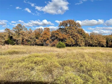 03 Indian Camp Rd, Weatherford, TX 76087 - photo 7