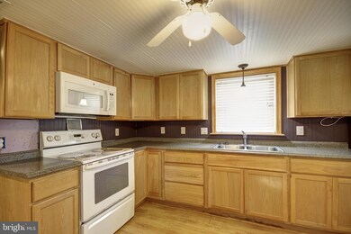 709 E Isabella St, Salisbury, MD 21804 - photo 5