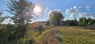 8692 E Baseline Rd, Mount Pleasant, MI 48858 - photo 4