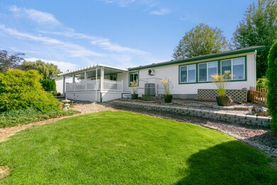 5. Back Yard 2
