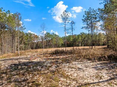 00 Springhill School Rd, Collins, MS 39428 - photo 7