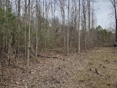 0 Hutcheson Rd unit 7537190, Temple, GA 30179 - photo 6