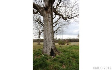 View - Large oak tree with swing already in place 