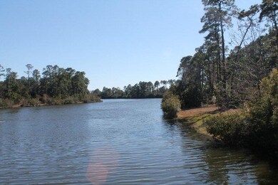 15 Wheelwright Cir, St. Simons Island, GA 31522 - photo 5