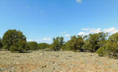1854 Rainbow Cir Show Low, AZ 85901