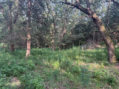 Lot 7 Block 2 1st St, Crofton, NE 68730 - photo 4