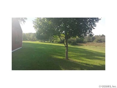 Other angle of side yard
