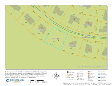 513 Swan Island Ct, Fayetteville, NC 28311 - photo 2
